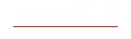 Logo ufficiale di Nuova VIB – Veicoli Industriali Biellesi.