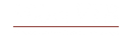 Logo ufficiale di Nuova VIB – Veicoli Industriali Biellesi.